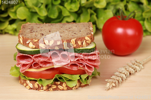 Image of Salami Sandwich