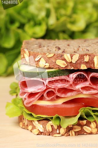 Image of Salami Sandwich