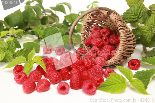 Image of Raspberries