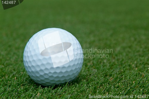 Image of Golf-ball on green