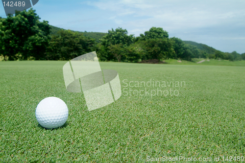 Image of Golf-ball on green