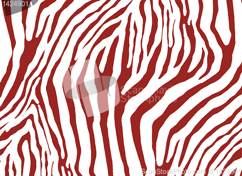 Image of zebra as pattern