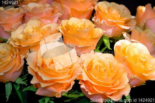 Image of bouquet of  roses