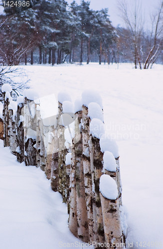 Image of Fence