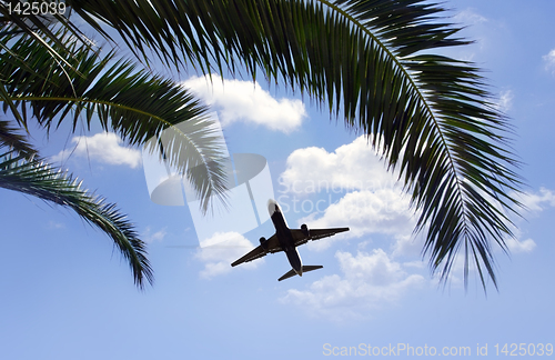 Image of airplane flying over tropical palm trees 