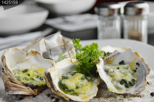 Image of Oysters