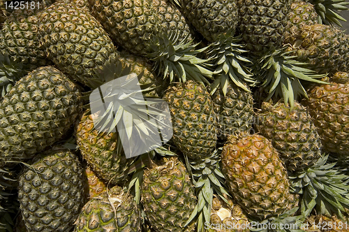 Image of Pineapple