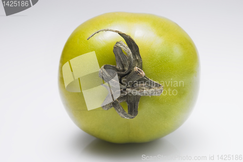 Image of Green Tomato
