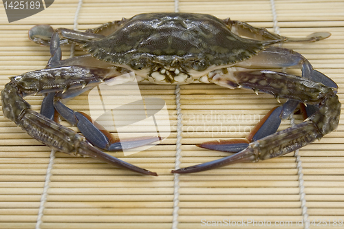 Image of Crab