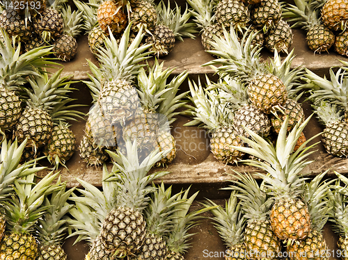 Image of Pineapple