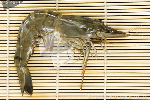 Image of Fresh Shrimp