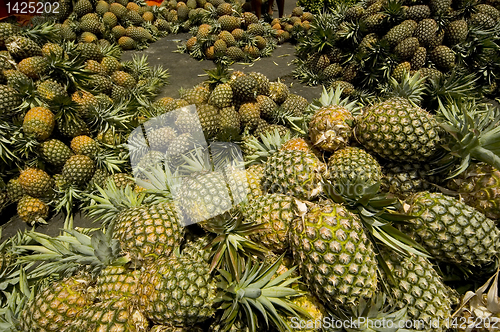 Image of Pineapple