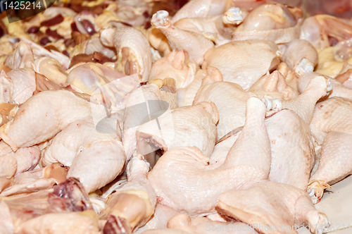 Image of Chicken