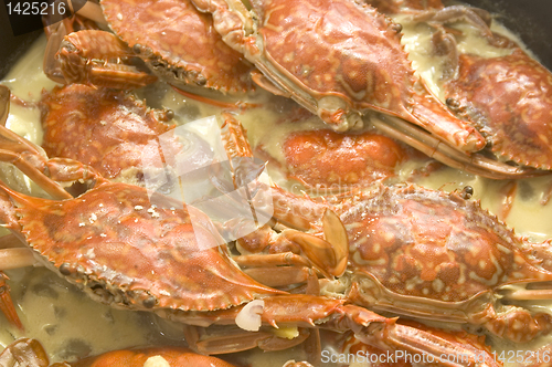 Image of Crab Meal