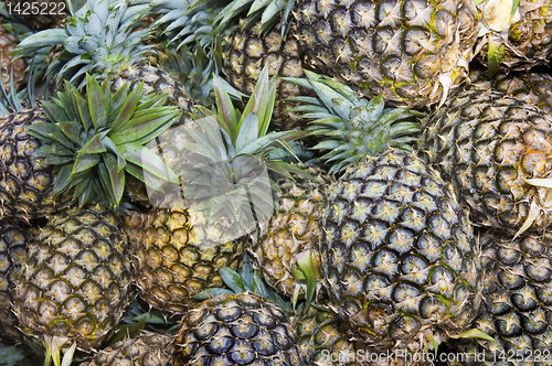 Image of Pineapple