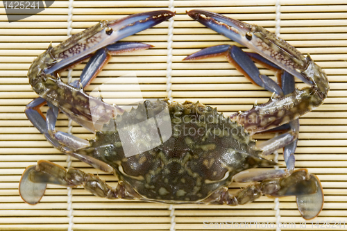 Image of Crab