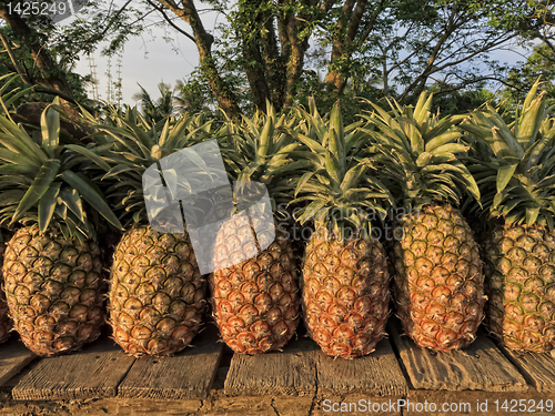 Image of Pineapple