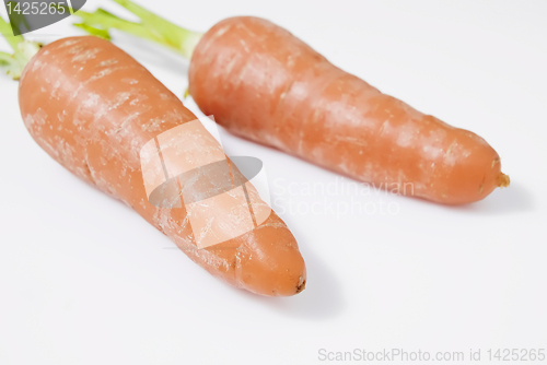 Image of Carrot