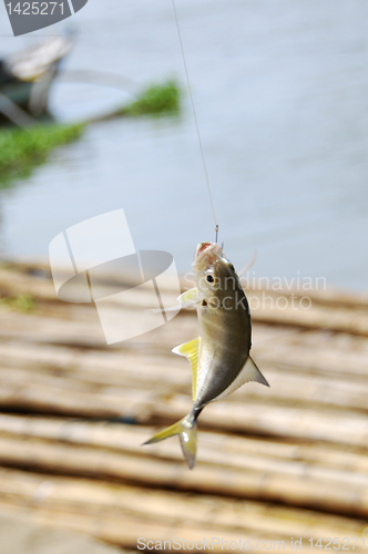 Image of Fishing