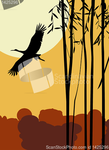 Image of Flying stork