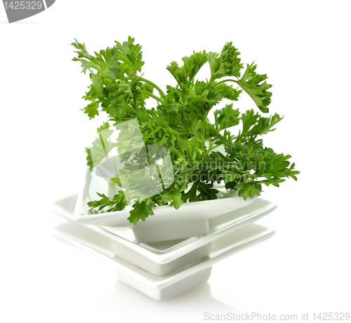 Image of Fresh Parsley