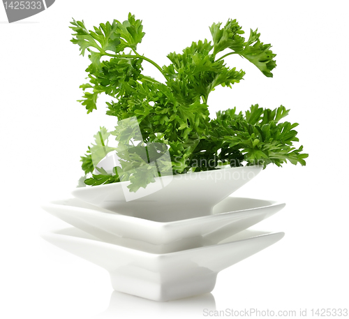 Image of Fresh Parsley Herb