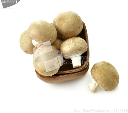 Image of Mushrooms