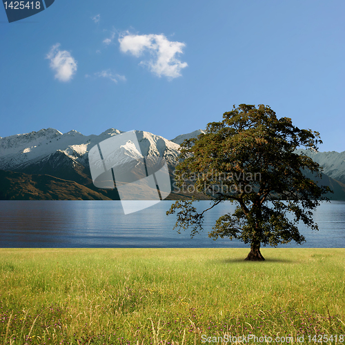 Image of Lake Landscape