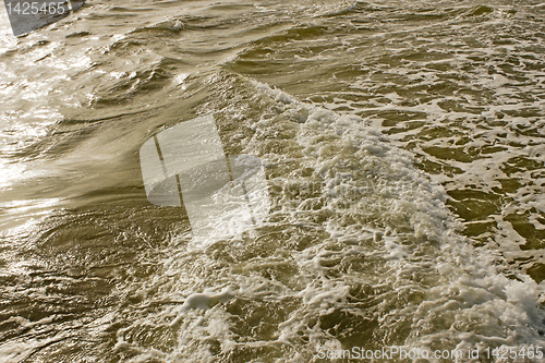 Image of Foamy sea surface