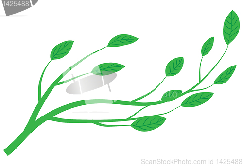 Image of branch of tree