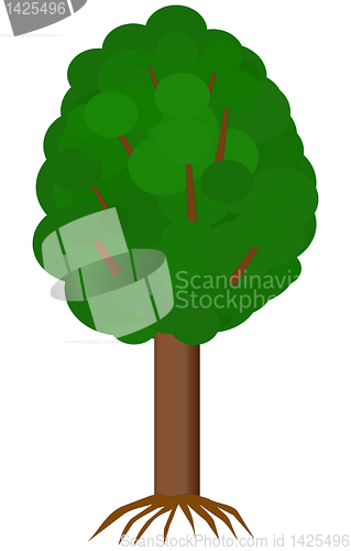 Image of tree