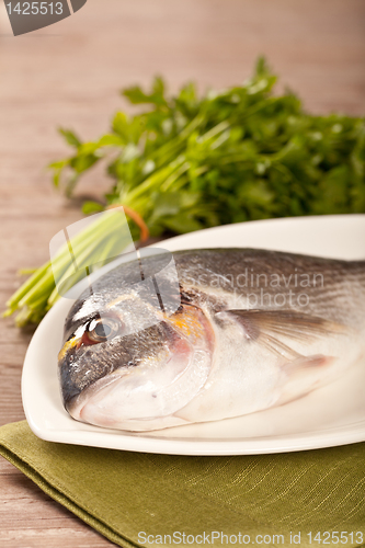 Image of Fresh gilthead