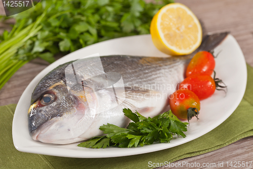 Image of Fresh gilthead