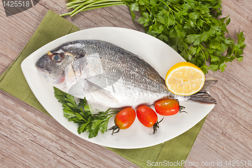 Image of Fresh gilthead