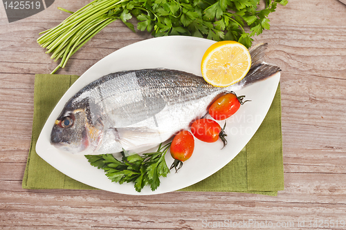 Image of Fresh gilthead