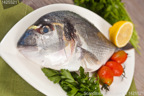 Image of Fresh gilthead