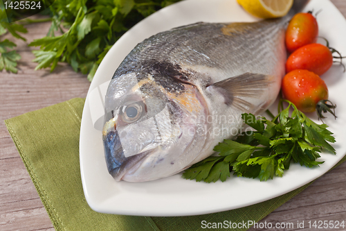 Image of Fresh gilthead