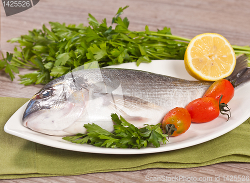Image of Fresh gilthead