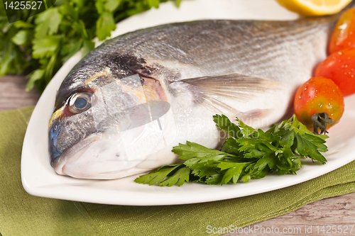 Image of Fresh gilthead