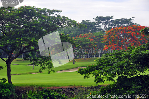 Image of Golf Greens