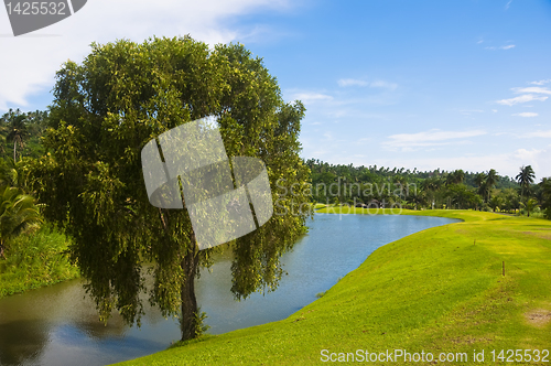 Image of Golf Greens