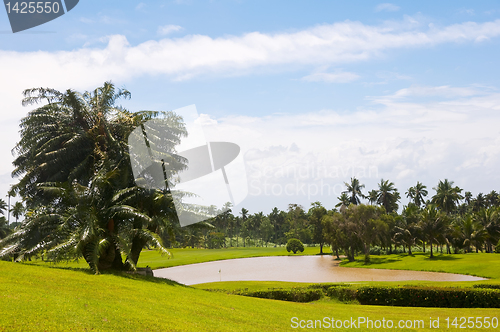 Image of Golf Greens