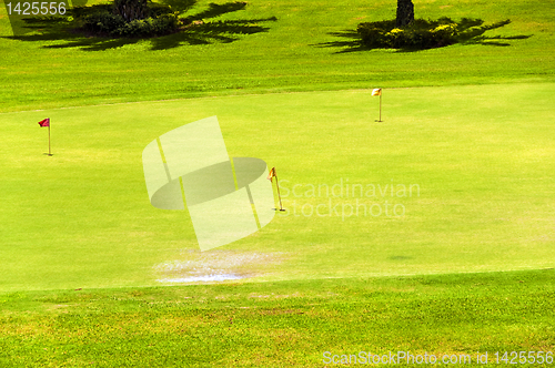 Image of Golf Greens