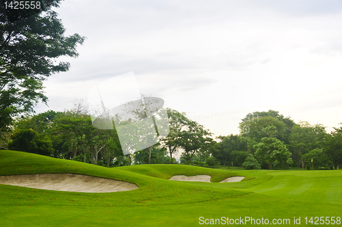 Image of Golf Greens