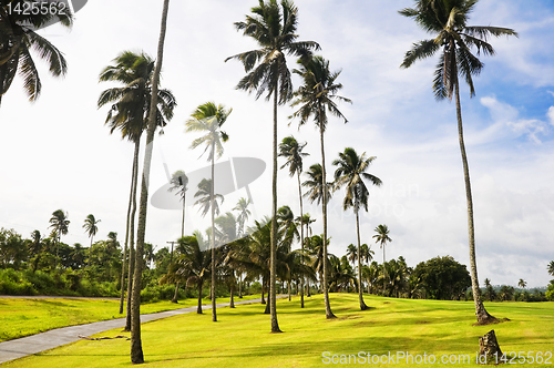 Image of Golf Greens