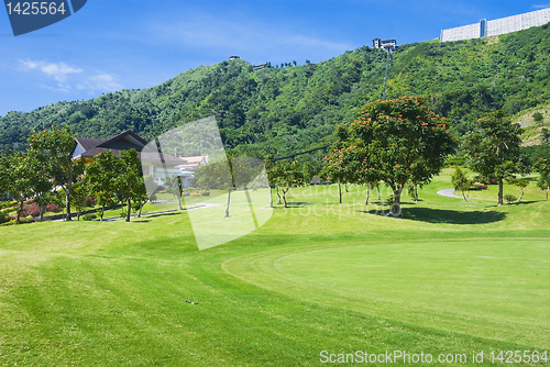 Image of Golf Greens