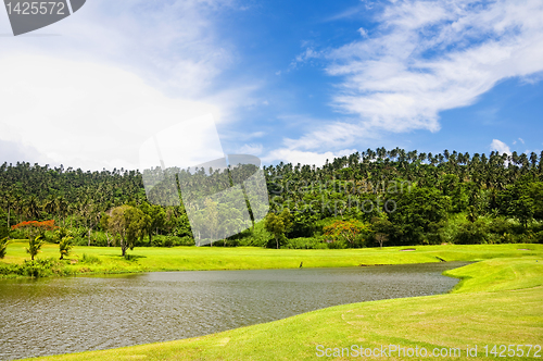 Image of Golf Greens