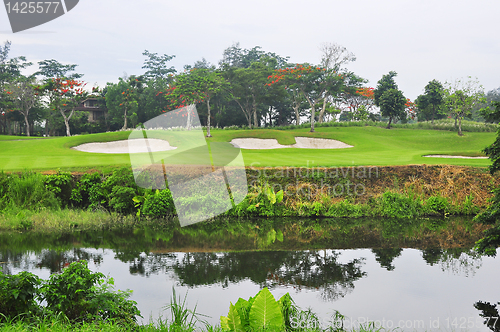 Image of Golf Greens