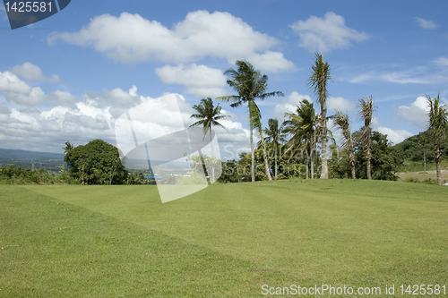 Image of Golf Greens