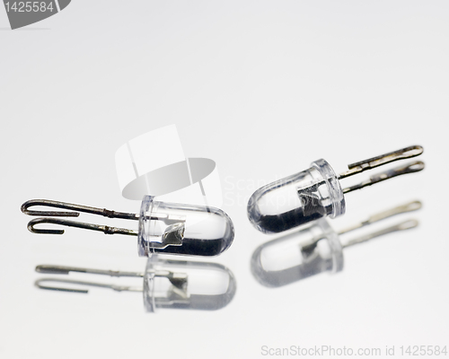 Image of Tiny Bulbs